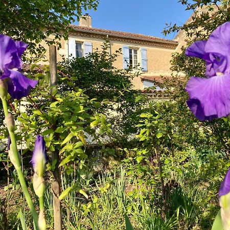 Le Petit Cochon Bed & Breakfast Valence-sur-Baise Exterior photo